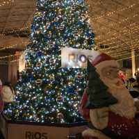 CHRISTMAS MARKET TENJIN【福岡市役所ふれあい広場】