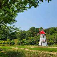 A Day Trip to Beautiful Daejon O-World