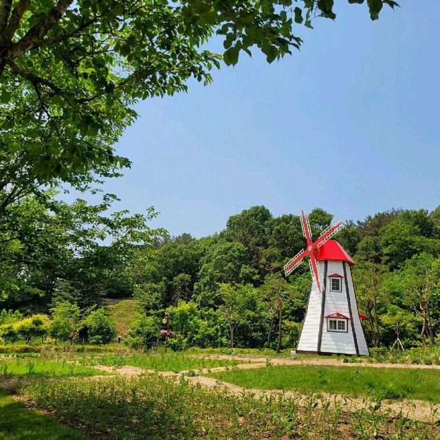 A Day Trip to Beautiful Daejon O-World