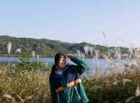 억새풀과 북한강 옆으로 산책하기 좋은 곳
