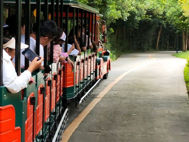 SOoo Many animals up close 🙉🦓 Hangzhou