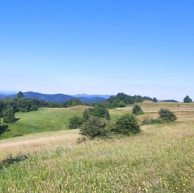 Rajac Mountain / Pure nature in Serbia