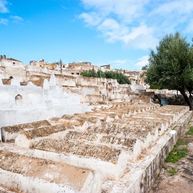 The Imperial City of Fes