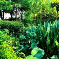 Best place for Morning walk 