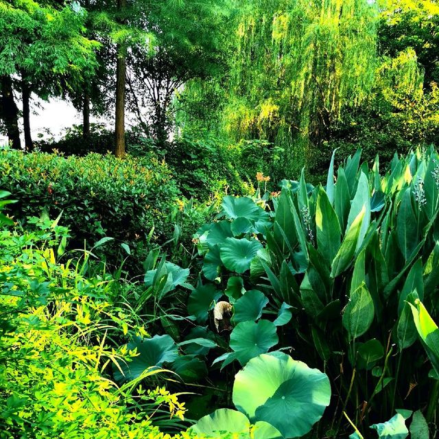 Best place for Morning walk 