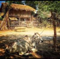 Strolling the streets of Bagan.