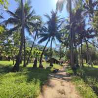 Amazing Baicha Old-Village in Hainan