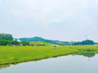 Hubei Mulan Grassland | A great place for leisure and play