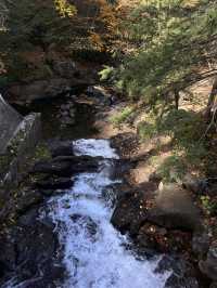 Gatineau Park