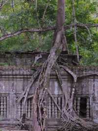 Angkor Wat