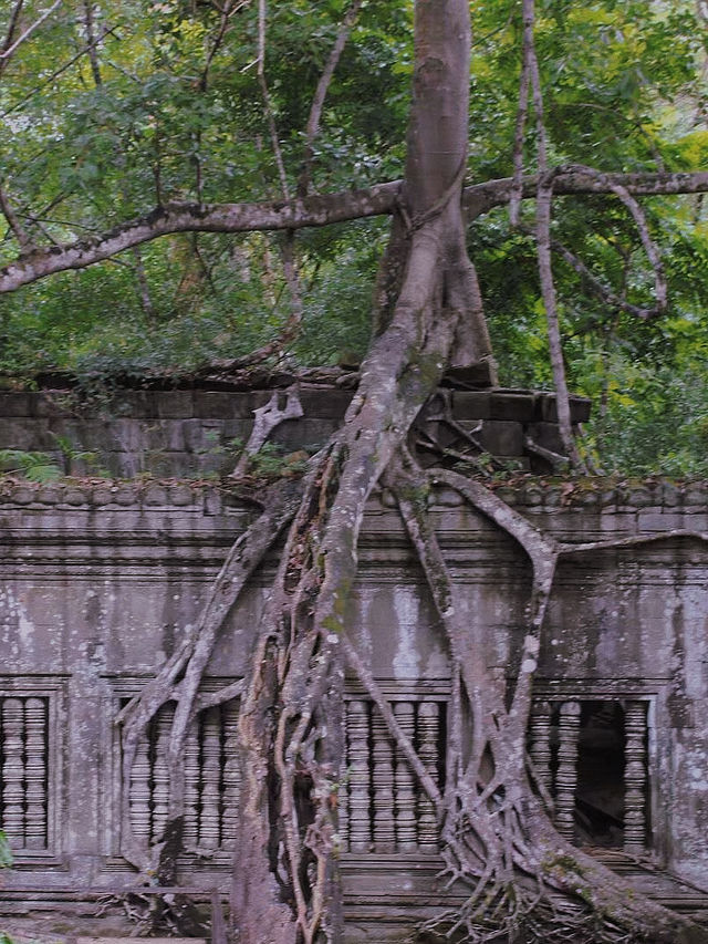 Angkor Wat