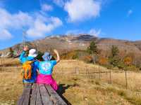 Japan free travel, hike up Mount Ibuki, autumn leaves and miscanthus are equally beautiful.