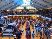 The wind of freedom always blows: Stanford University, the world-renowned immersive playground for children of prestigious schools.