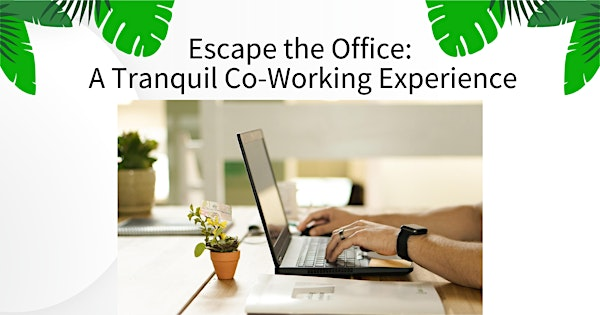 Escape the Office: A Tranquil Co-Working Experience | Better Than Bouquets Inc.