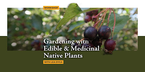 Gardening with Edible & Medicinal Native Plants Workshop | Oxbow Farm & Conservation Center
