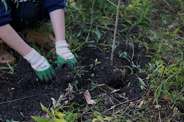 Volunteer Day (A Rocha Ontario) | A Rocha Ontario Centre