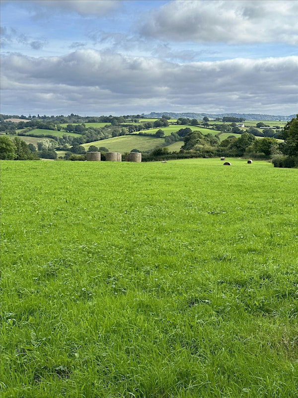 Building ecological networks across Monmouthshire | Llanishen Village Hall