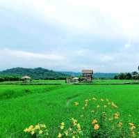 สะพานทุ่งนาน้อยเขาหล่น