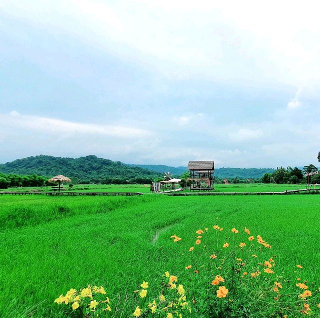 สะพานทุ่งนาน้อยเขาหล่น