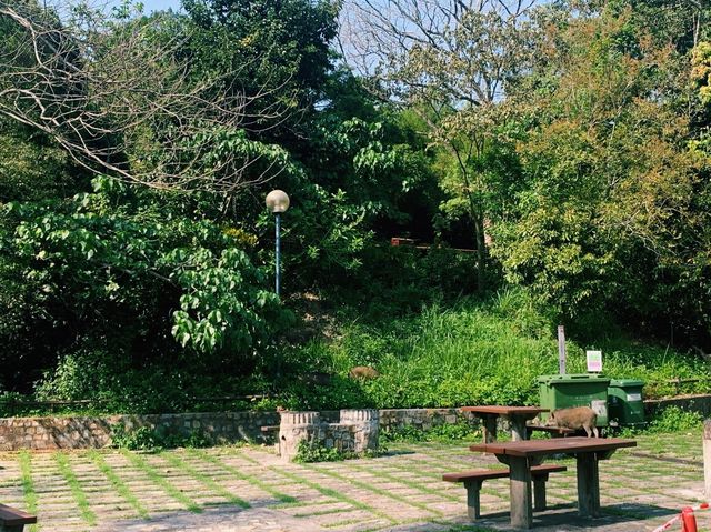 香港仔水塘行山