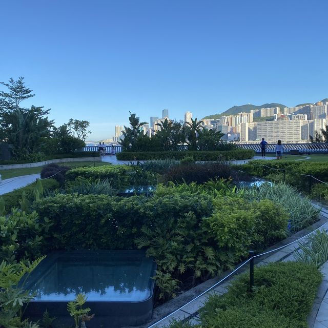 無敵海景的草地平台 