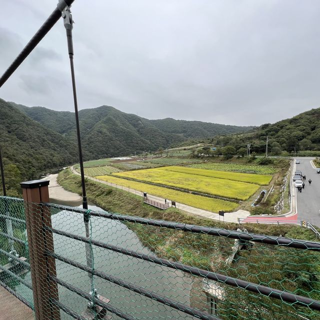 충주 추천 여해 코스 충주 추천 여해 코스
