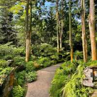 Evolution Garden