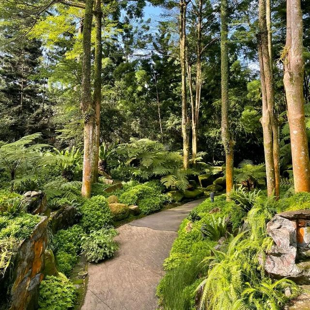 Evolution Garden