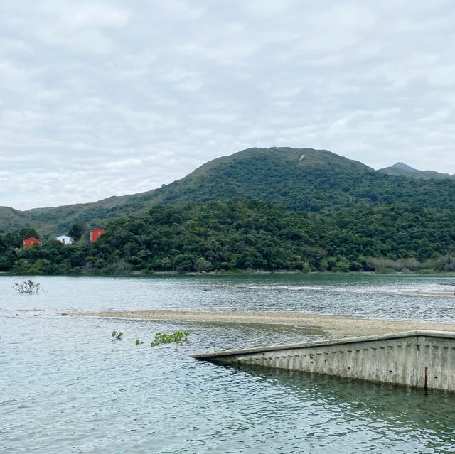麥理浩徑第二段