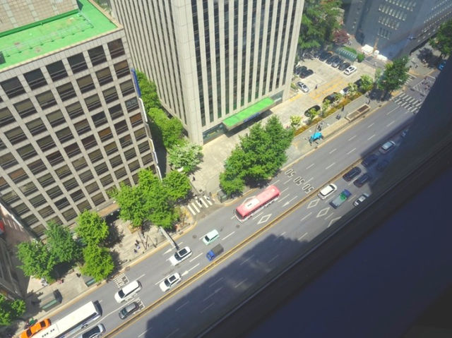 시청역 핫플 뷰가 예쁜 카페