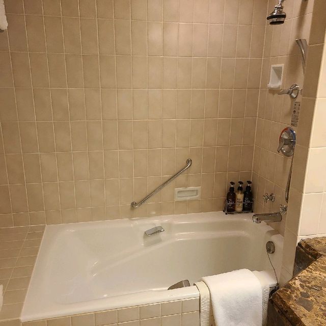 ヨット型の外観が目印、部屋からの眺望目の前が観覧車【ヨコハマ グランド インターコンチネンタル ホテル】🌟
