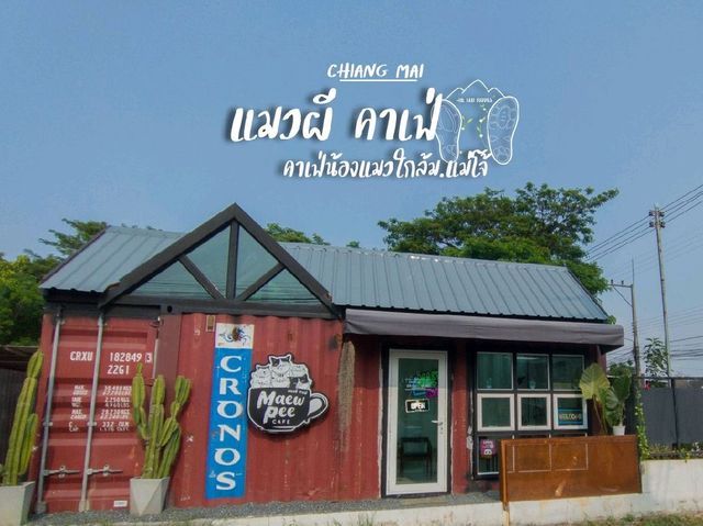 Maew Pee Cafe, แมวผีคาเฟ่ @แม่โจ้ เชียงใหม่ 🐱🐱