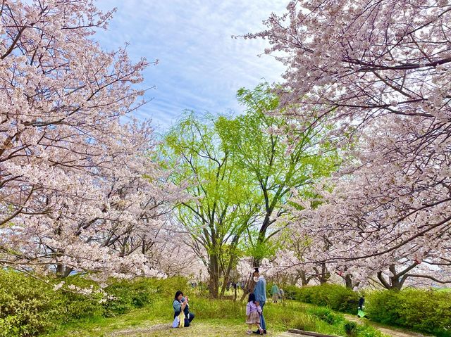 【福岡】直方チューリップフェア🌷