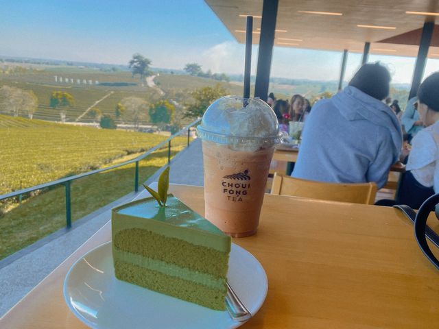 ไร่ชาฉุยฟงสวรรค์ของคนรักชาเขียว🍵