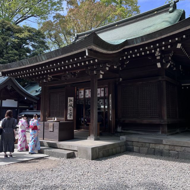 【埼玉】写真映えする！川越氷川神社