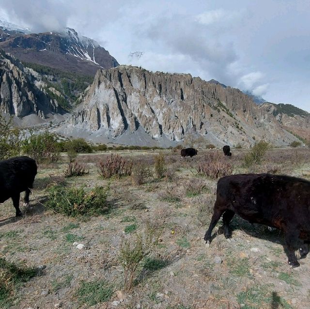 manang village