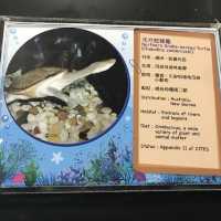 免費增進爬蟲類動物小知識