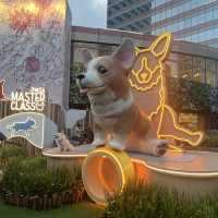 🐶狗狗都可以一齊做運動啦！