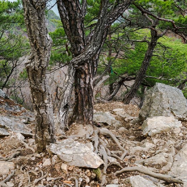 춘천 삼악산 등산