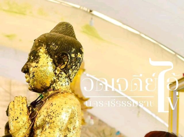 วัดเจดีย์ (ไอ้ไข่)