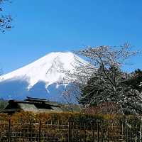 忍野八海