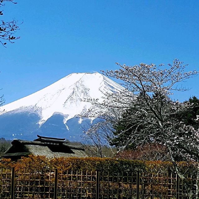 忍野八海