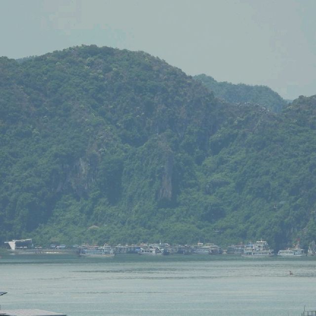 下龍灣必玩景點—天空洞Thien Cung Cave 下龍灣必玩景點—天空洞Thien Cung Cave