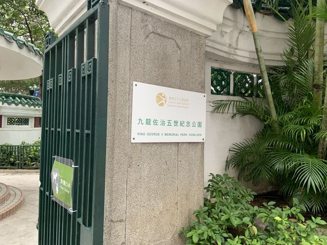 九龍佐治五世紀念公園
