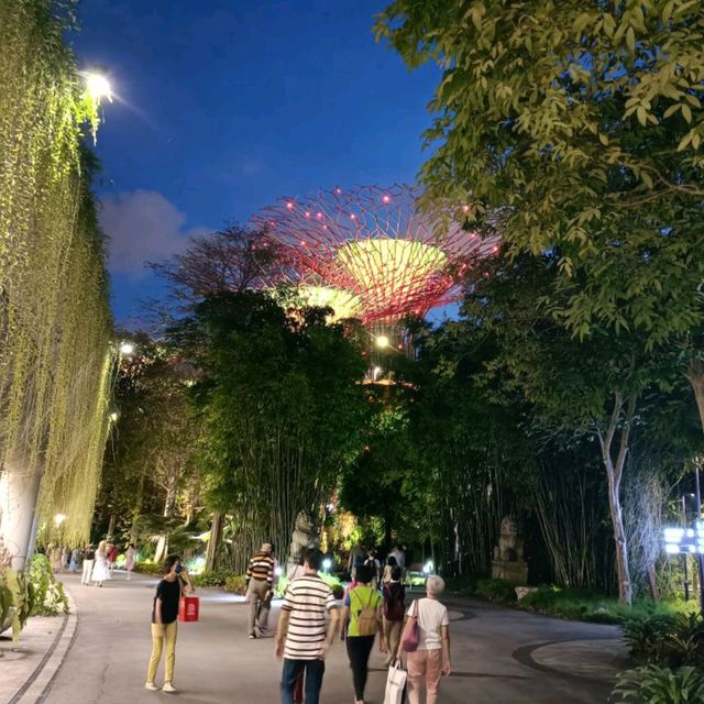 Garden Rhapsody Show at Supertree Observatory