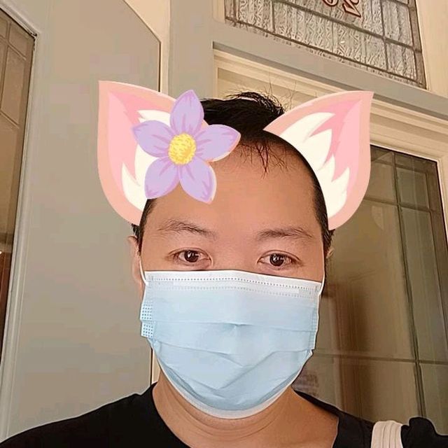 altTitle