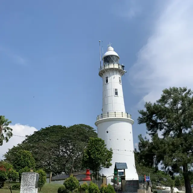 出海賞鷹餵食