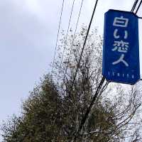 【札幌🤍白い恋人パークが可愛い】in北海道