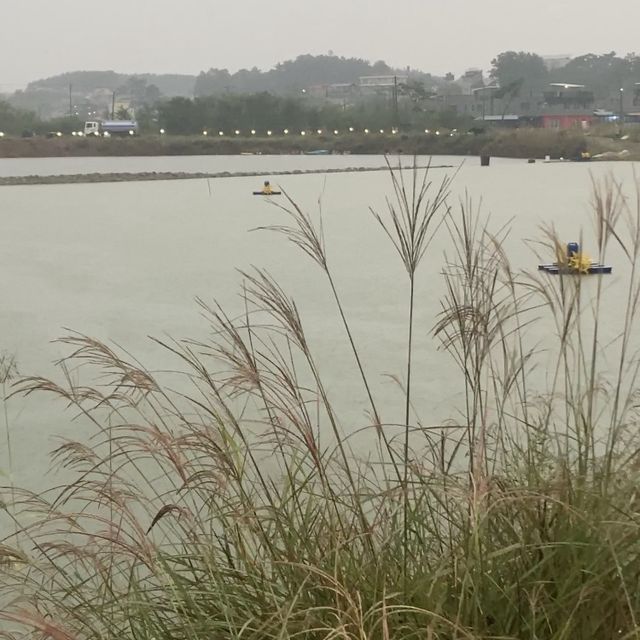 대부도 새우 명물_대부도 백화왕새우 양식장