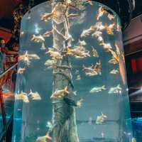 Aquaria Love!